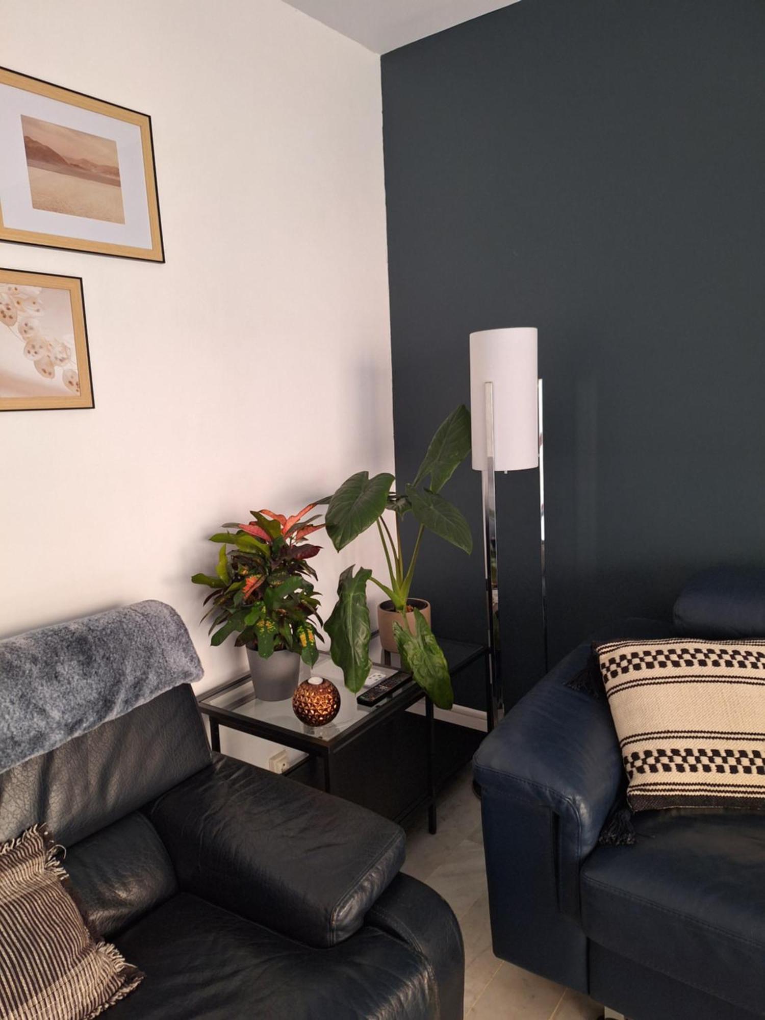 Appartement T3 Plein Centre Saint-Raphaël 外观 照片